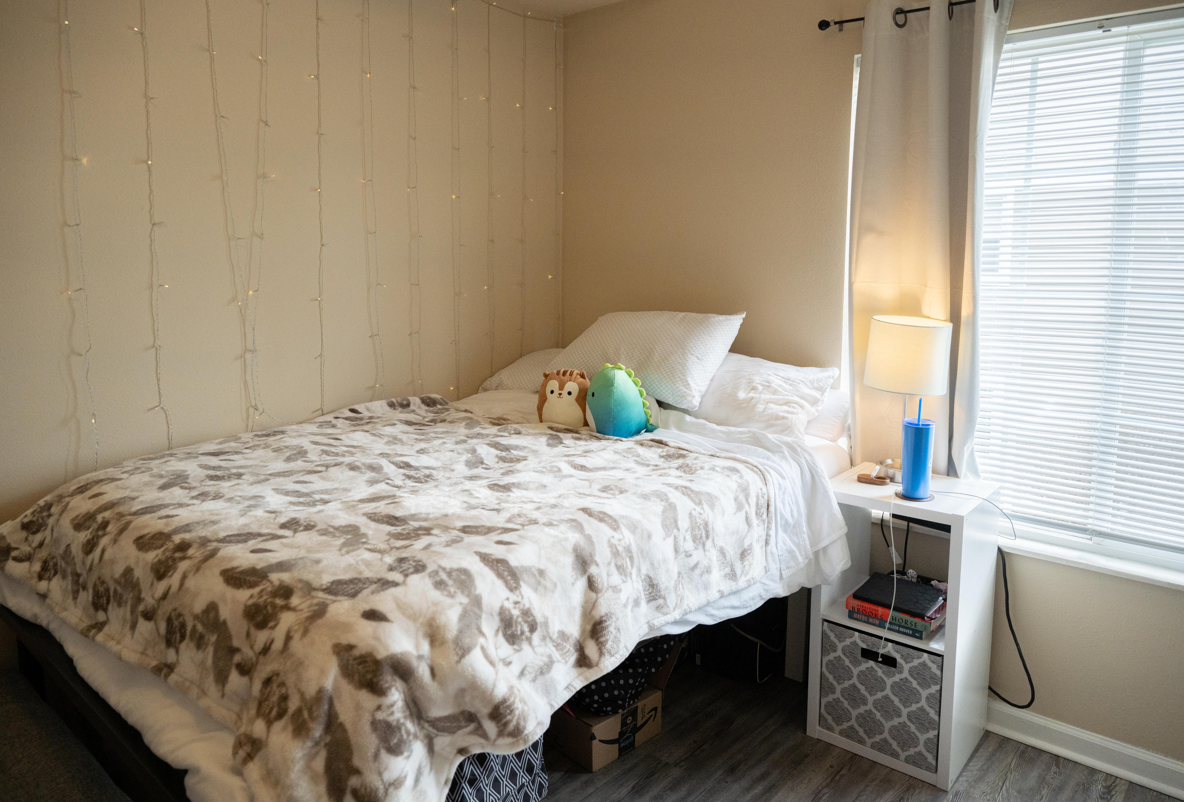 3 Bed, 3 Bath Townhome Deluxe