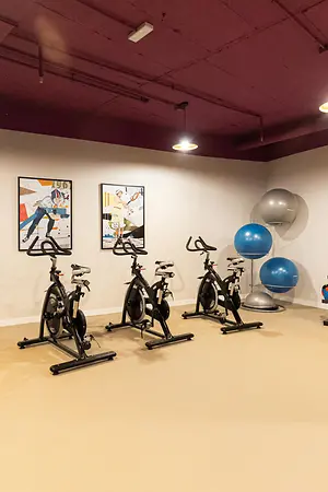 gym (1)
