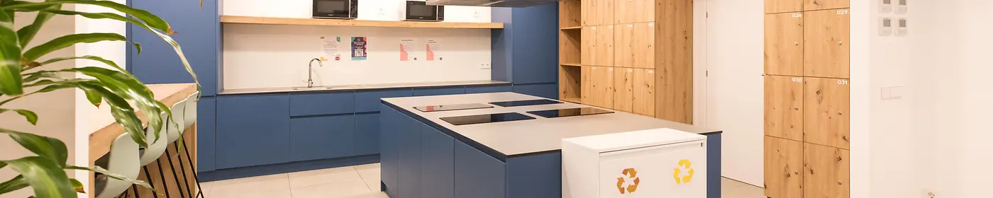 NUEVONORTE15
