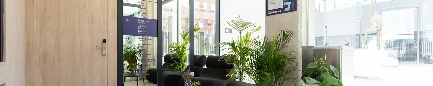 Reception 1