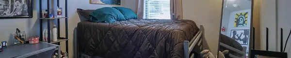 3 Bedroom Telluride A(2)