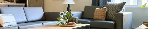 Eugene upgrade