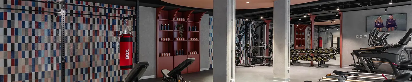 Gym 3