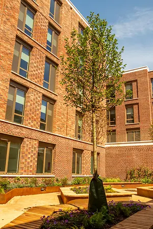 22 - 3DVSExternal Spaces51